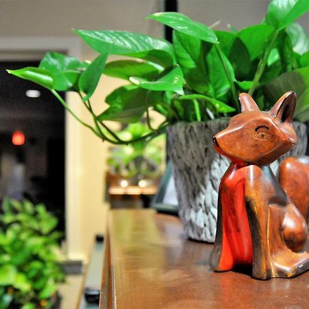 Fox Ridge Resort North Conway Εξωτερικό φωτογραφία