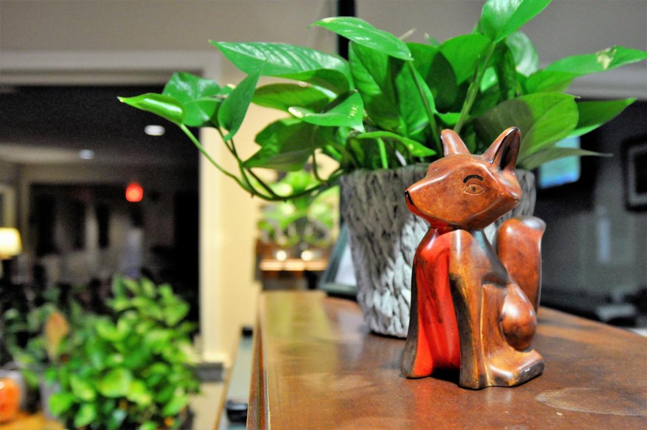 Fox Ridge Resort North Conway Εξωτερικό φωτογραφία