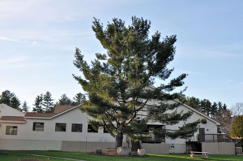 Fox Ridge Resort North Conway Εξωτερικό φωτογραφία