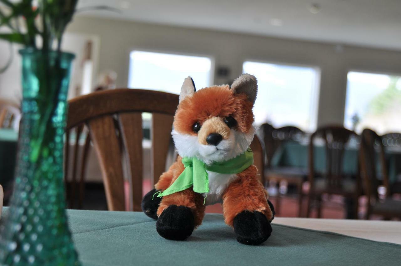 Fox Ridge Resort North Conway Εξωτερικό φωτογραφία